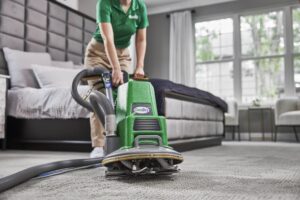 What to Expect From Commercial Carpet Cleaning Services